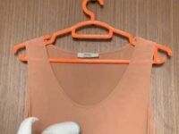 Can You Steam Silk?