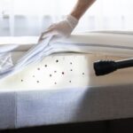 Will Steam From An Iron Kill Bed Bugs