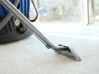 Is Steam Cleaning Carpet Better Than Shampooing?