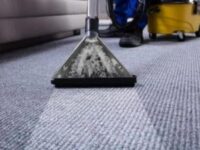 Is Steam Cleaning Carpet Better Than Shampooing?