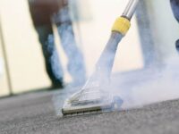 Is Steam Cleaning Carpet Better Than Shampooing?